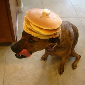 Meet your Posher, Bridgette